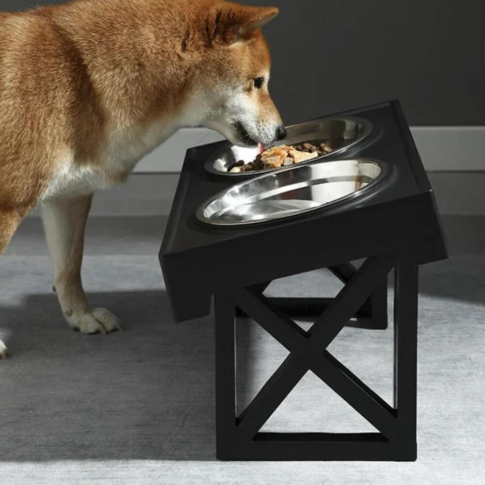 Lisslune | PupLift Elevated Dog Bowl – Ergonomic & Slow Feeding for Healthy Meals