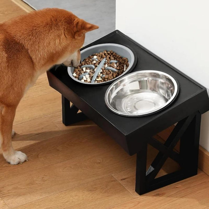 Lisslune | PupLift Elevated Dog Bowl – Ergonomic & Slow Feeding for Healthy Meals
