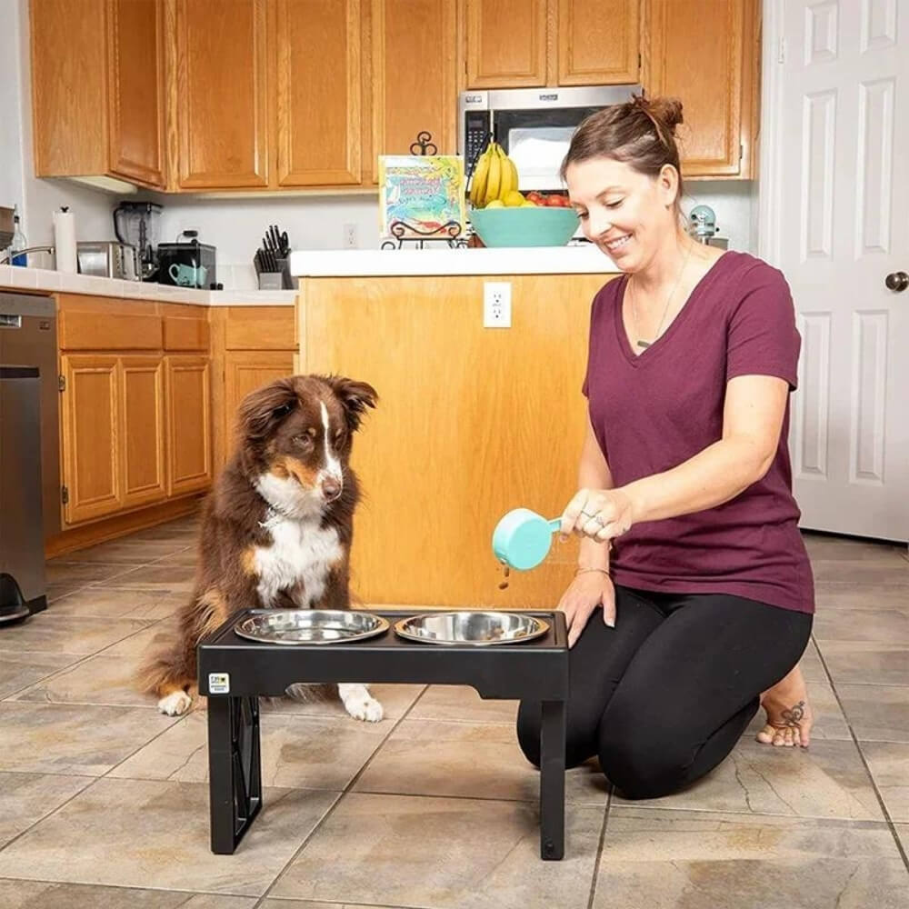 Lisslune | PupLift Elevated Dog Bowl – Ergonomic & Slow Feeding for Healthy Meals