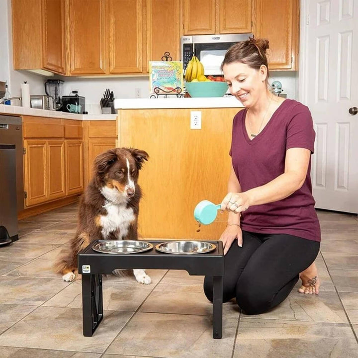 Lisslune | PupLift Elevated Dog Bowl – Ergonomic & Slow Feeding for Healthy Meals