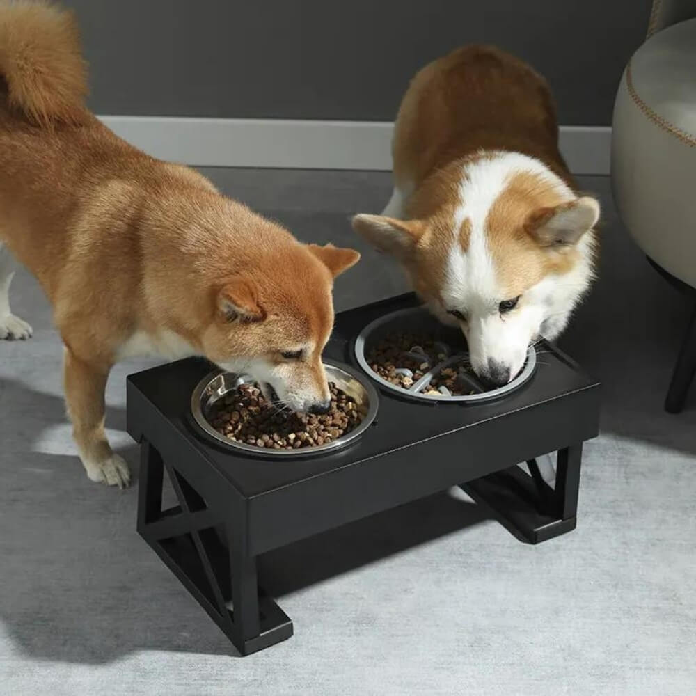 Lisslune | PupLift Elevated Dog Bowl – Ergonomic & Slow Feeding for Healthy Meals