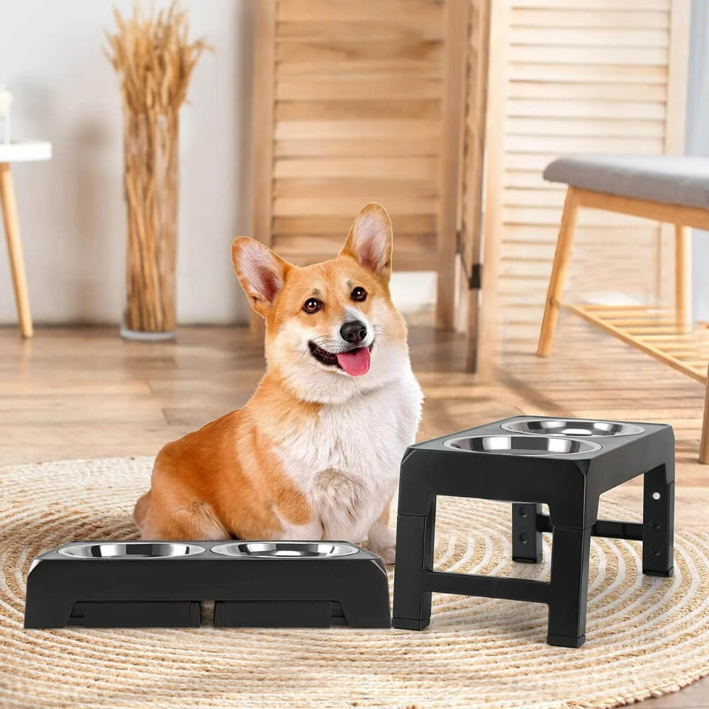 Lisslune | PupLift Elevated Dog Bowl – Ergonomic & Slow Feeding for Healthy Meals