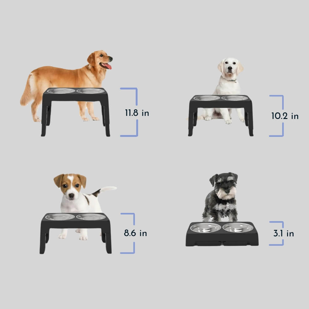 Lisslune | PupLift Elevated Dog Bowl – Ergonomic & Slow Feeding for Healthy Meals