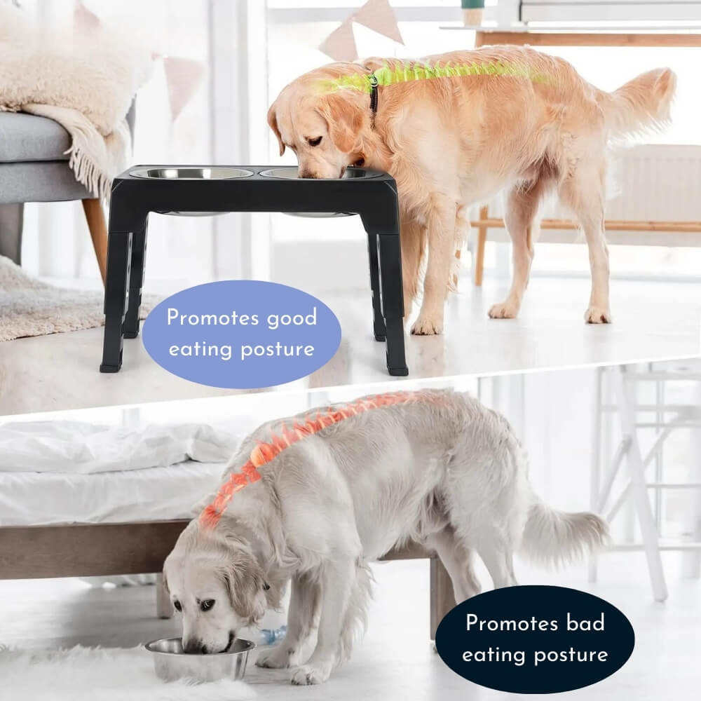Lisslune | PupLift Elevated Dog Bowl – Ergonomic & Slow Feeding for Healthy Meals