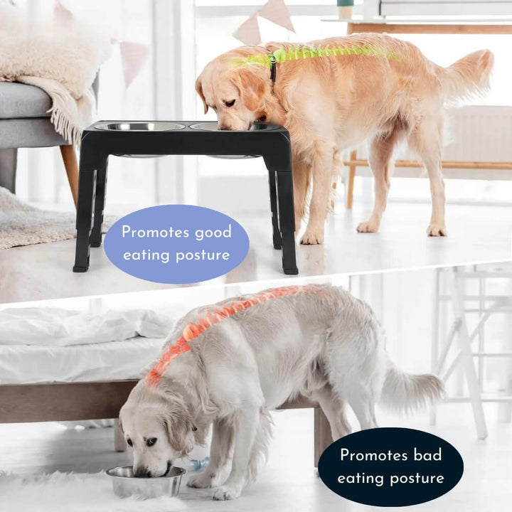 Lisslune | PupLift Elevated Dog Bowl – Ergonomic & Slow Feeding for Healthy Meals
