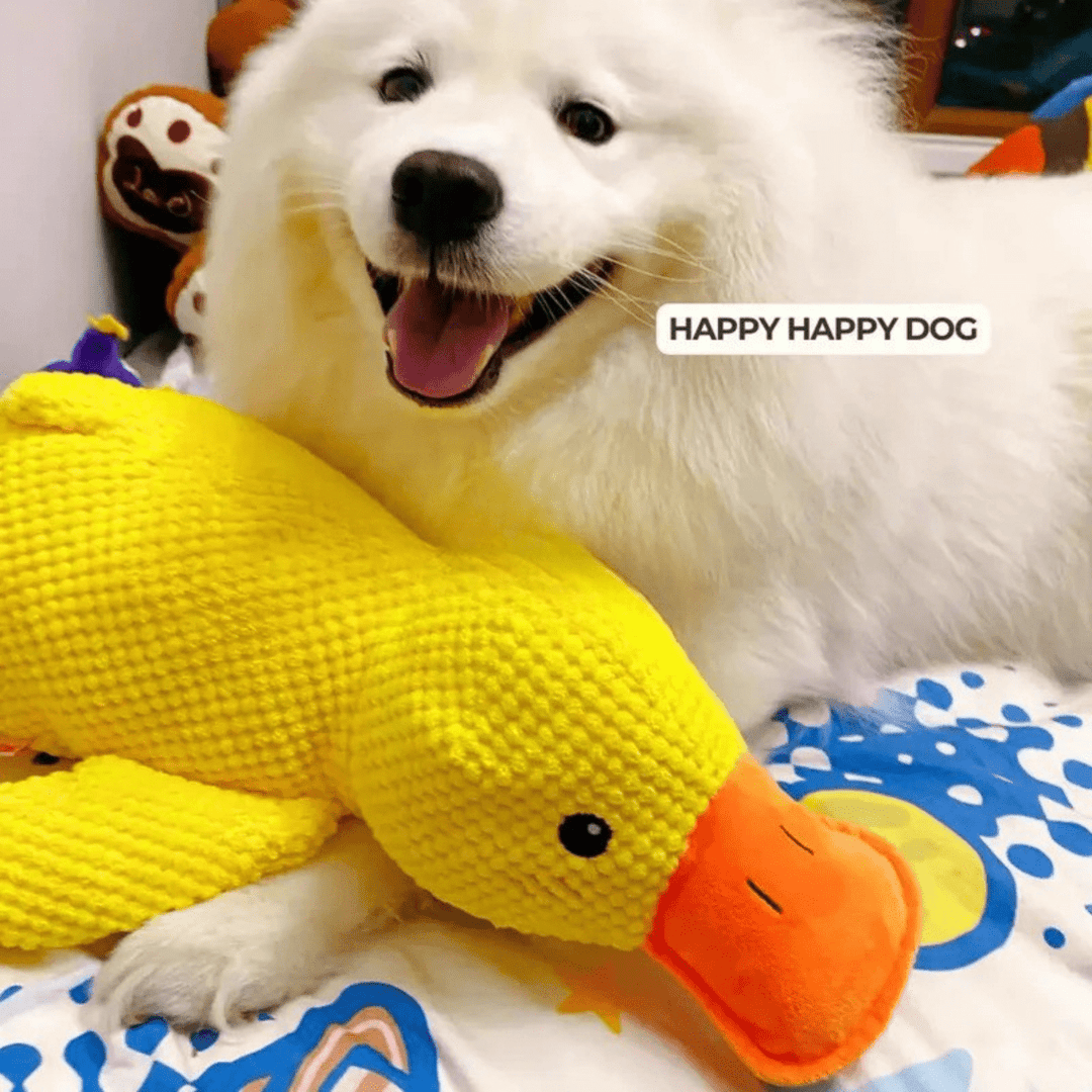 Lisslune | PawVerve Plush Duck Toy for Dogs | Soft squeaky comfort toy for playful and relaxed pets