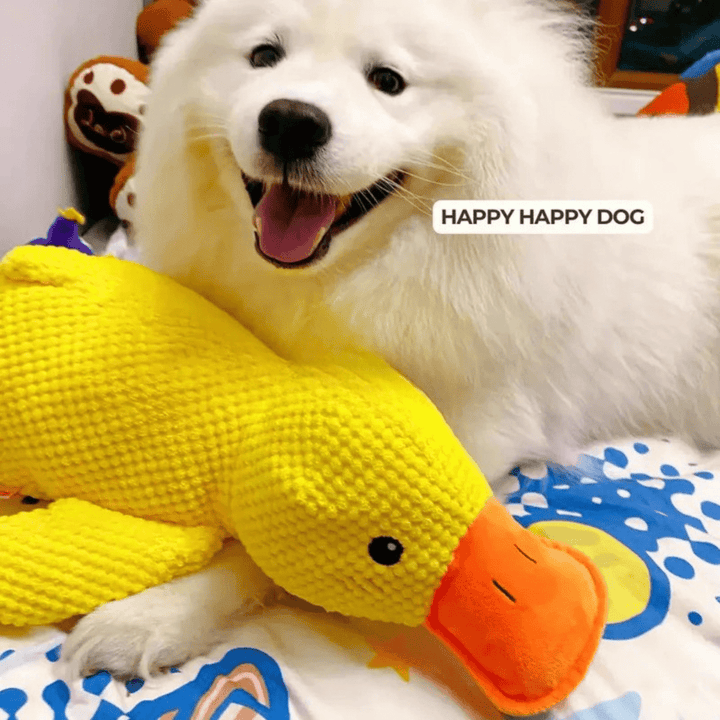 Lisslune | PawVerve Plush Duck Toy for Dogs | Soft squeaky comfort toy for playful and relaxed pets