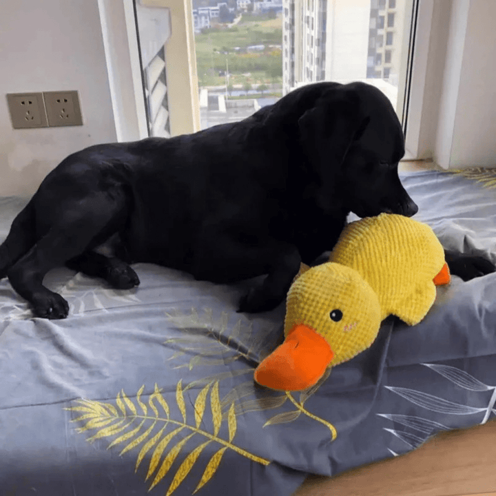 Lisslune | PawVerve Plush Duck Toy for Dogs | Soft squeaky comfort toy for playful and relaxed pets
