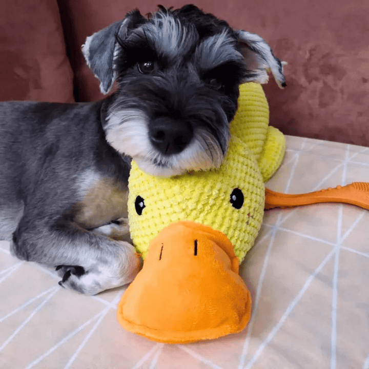 Lisslune | PawVerve Plush Duck Toy for Dogs | Soft squeaky comfort toy for playful and relaxed pets