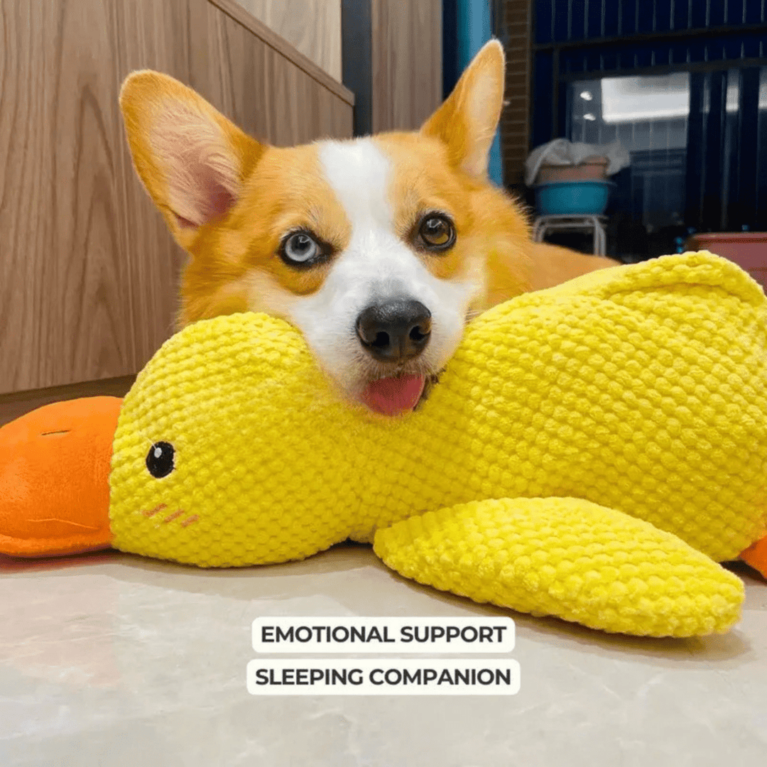 Lisslune | PawVerve Plush Duck Toy for Dogs | Soft squeaky comfort toy for playful and relaxed pets