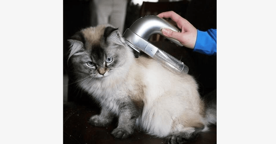 Lisslune | Pet Vacuum Groomer