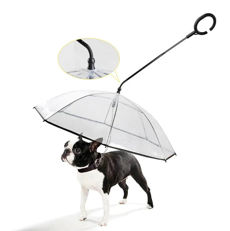 Lisslune | WALKDRY Clear – Wind-Resistant Pet Umbrella with Quick-Clip Leash