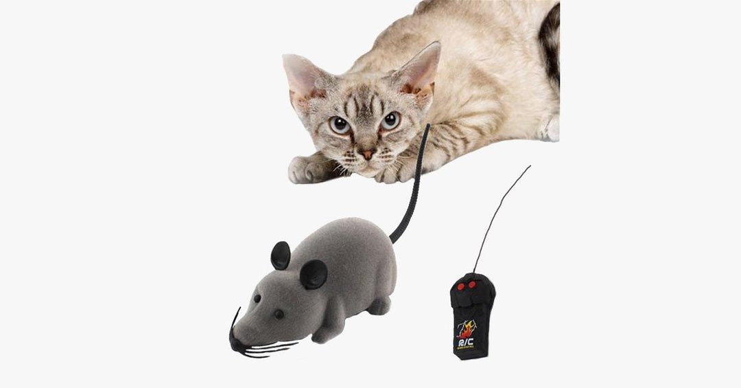 Lisslune | Electronic RC Rat Mouse Toy for Pet Cats