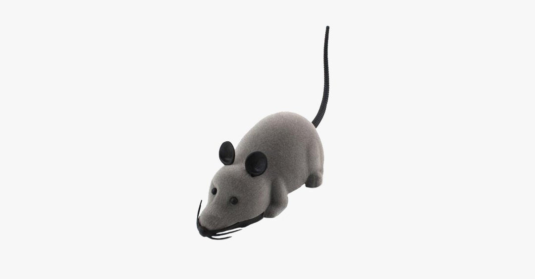 Lisslune | Electronic RC Rat Mouse Toy for Pet Cats