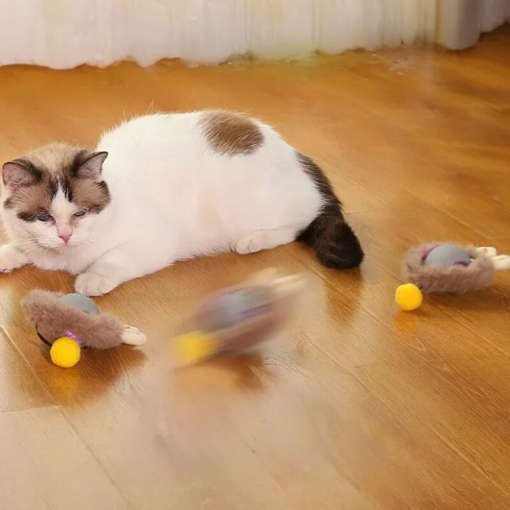 Lisslune | Interactive Rolling Ball Toy with Tail for Cats