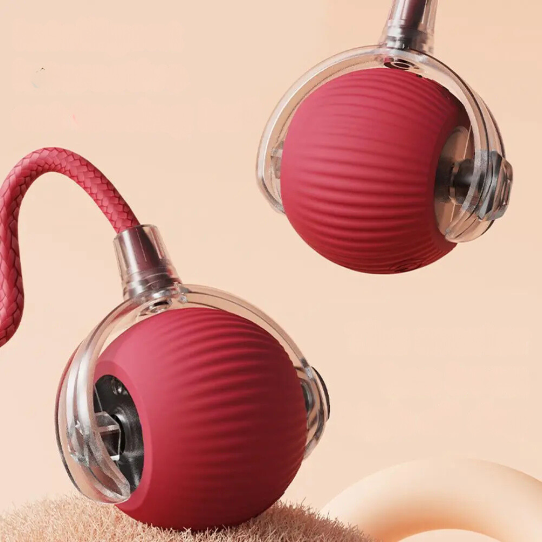 Lisslune | Interactive Rolling Ball Toy with Tail for Cats