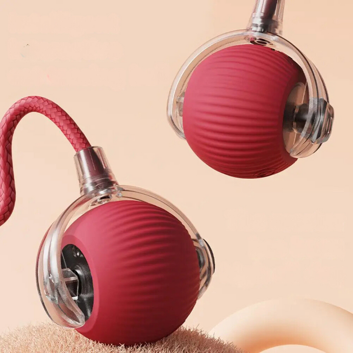 Lisslune | Interactive Rolling Ball Toy with Tail for Cats