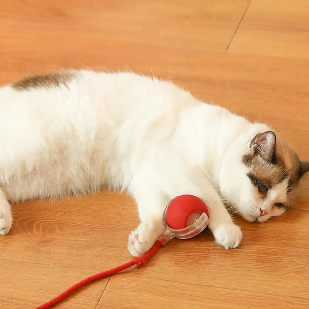Lisslune | Interactive Rolling Ball Toy with Tail for Cats