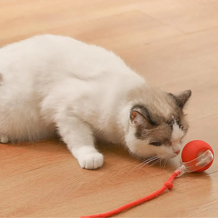 Lisslune | Interactive Rolling Ball Toy with Tail for Cats