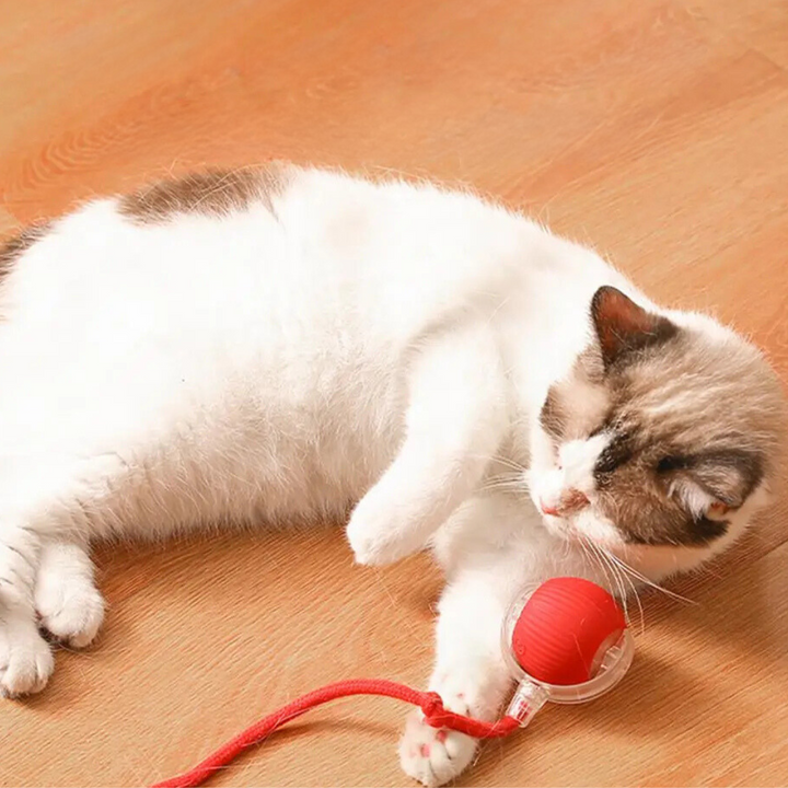 Lisslune | Interactive Rolling Ball Toy with Tail for Cats