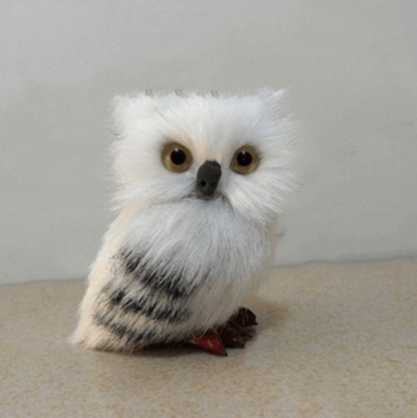 Lisslune | Cute Owl Home Decor