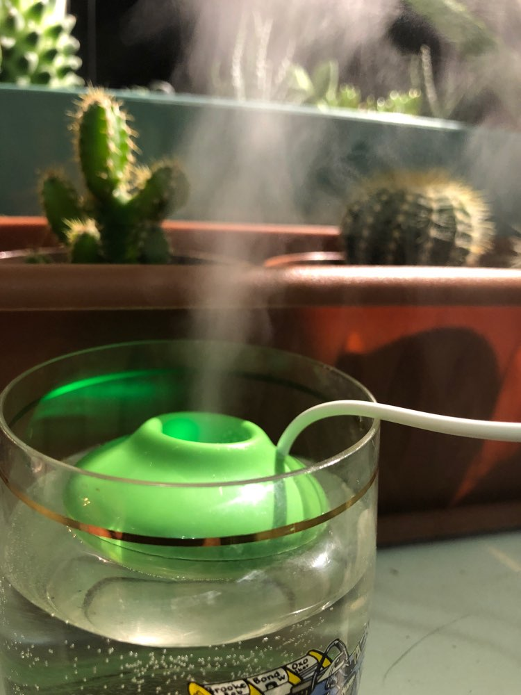 Lisslune | Mini Portable USB Donut Shaped Air Humidifier