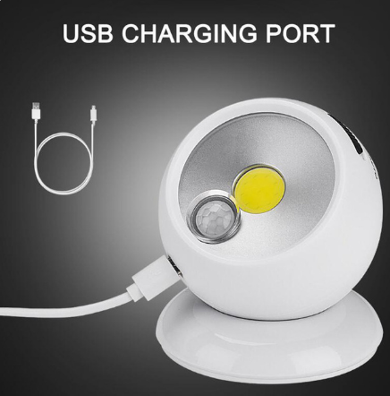 Lisslune | Wall Mounted Motion Sensor Light
