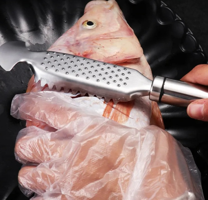 Lisslune | Ginger Grind Stainless Fish Scraper Tool