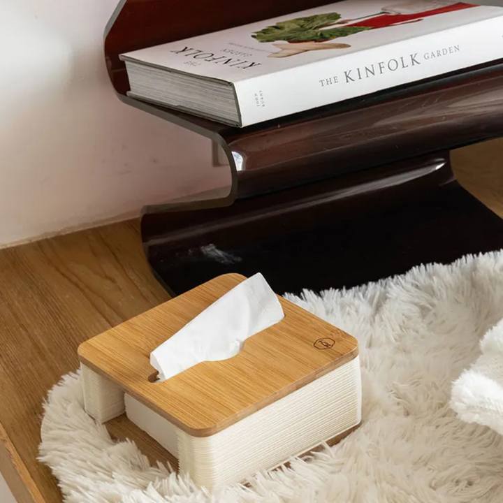 Lisslune | Accordion Paper Retractable Nordic Tissue Box