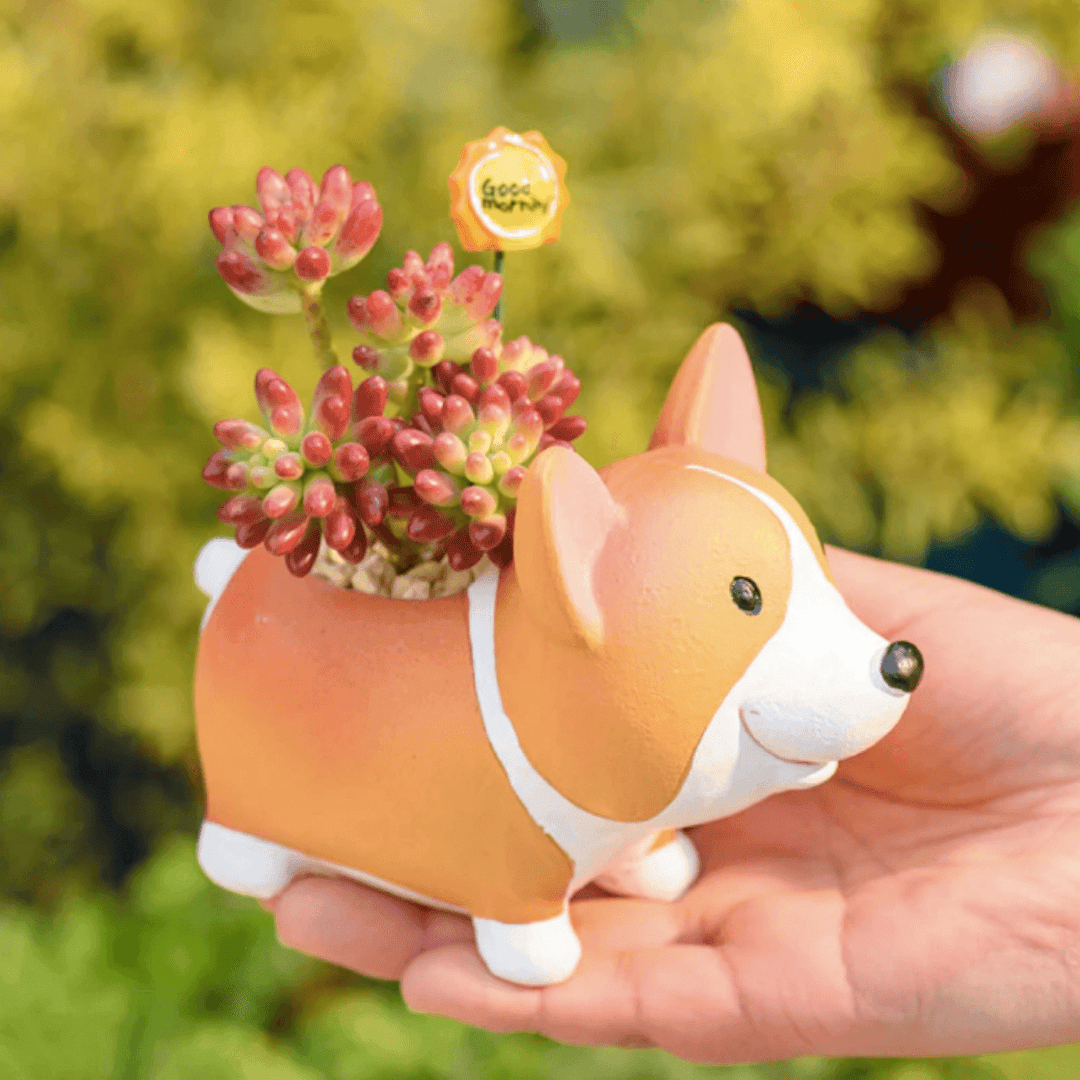 Lisslune | Resin Corgi Mini Flower Pot
