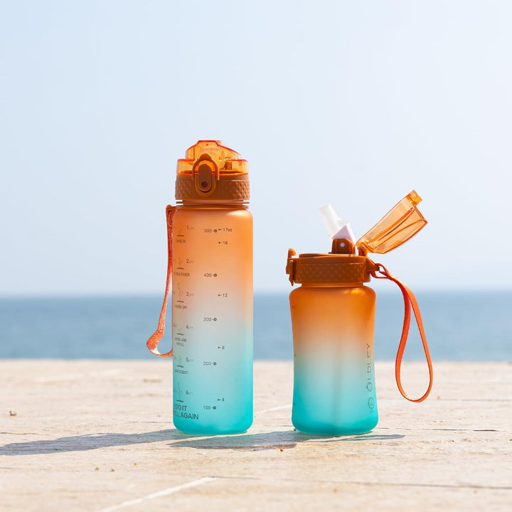 Lisslune | Reusable Tritan plastic water bottle with straw & chug lids