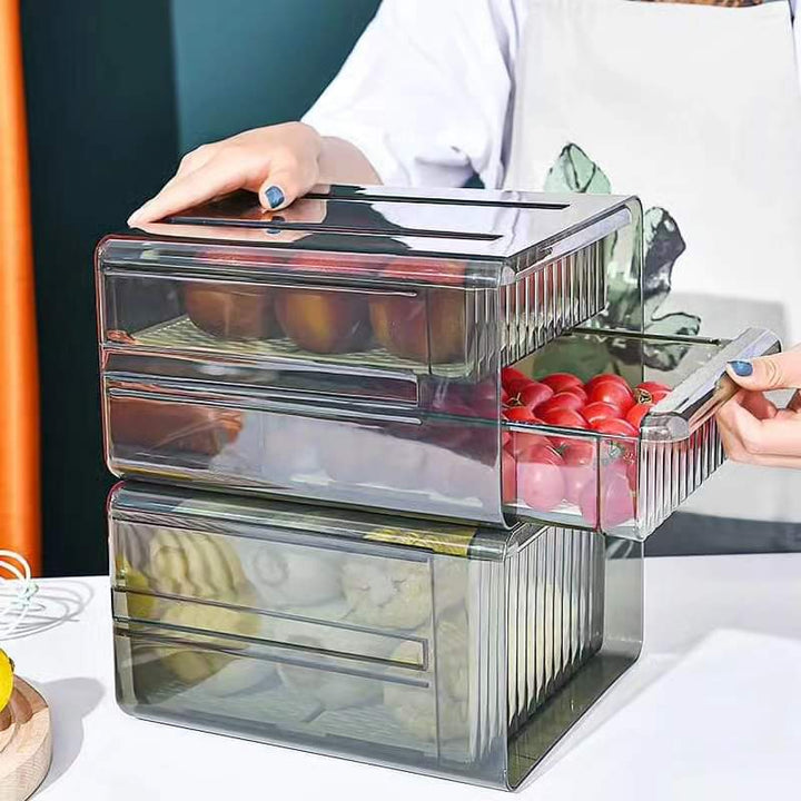 Lisslune | Double Layer Refrigerator Container