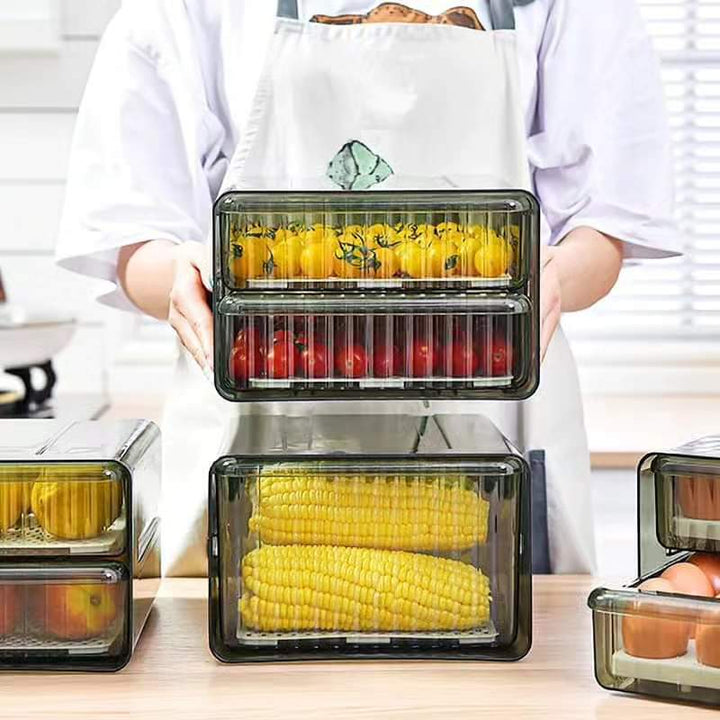 Lisslune | Double Layer Refrigerator Container