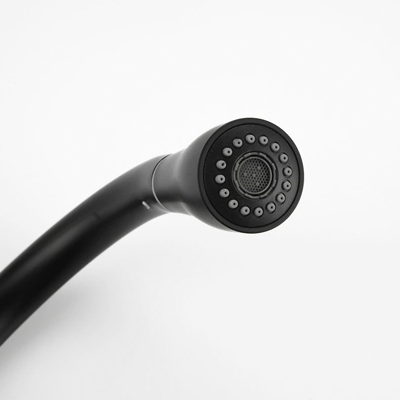 Lisslune | Kitchen with black swan neck shower head