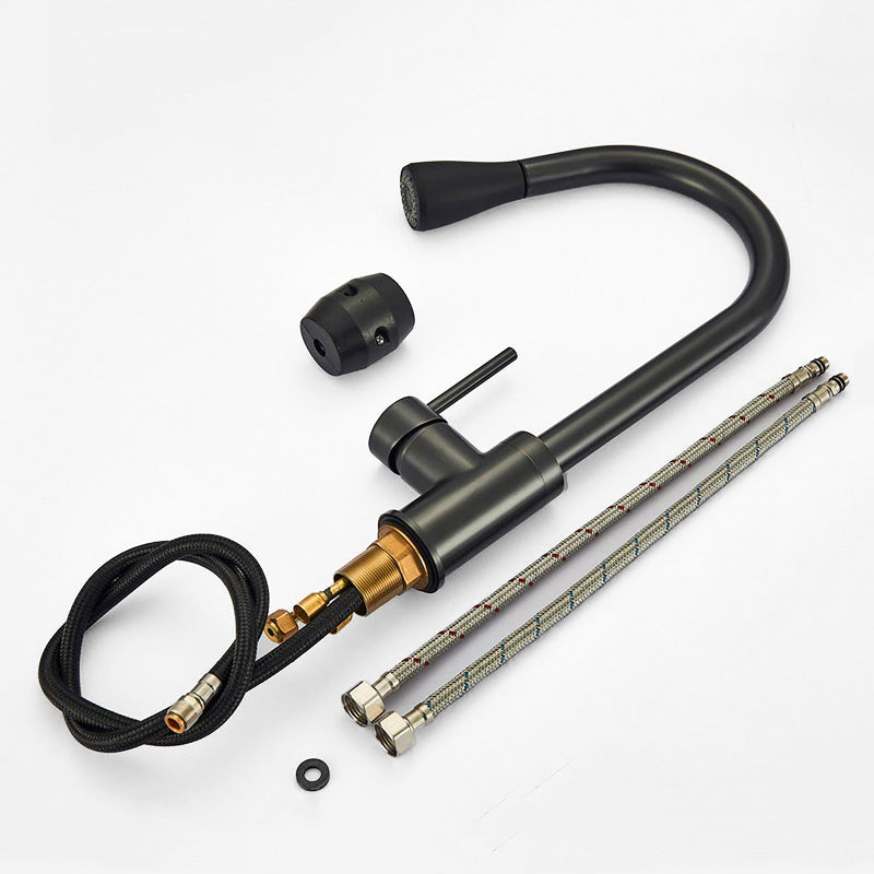 Lisslune | Kitchen with black swan neck shower head