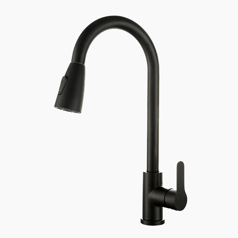 Lisslune | Kitchen with black swan neck shower head