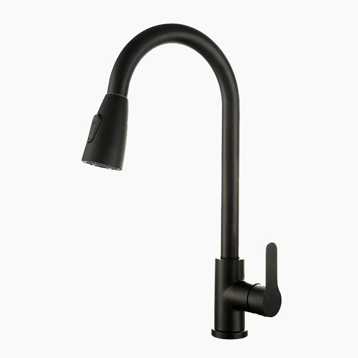 Lisslune | Kitchen with black swan neck shower head