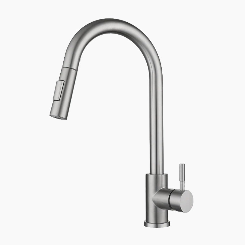 Lisslune | Kitchen with pull-out hose head, stainless steel