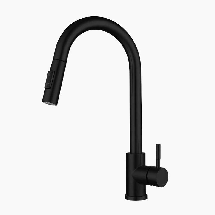 Lisslune | Kitchen with pull-out spray, black goose neck