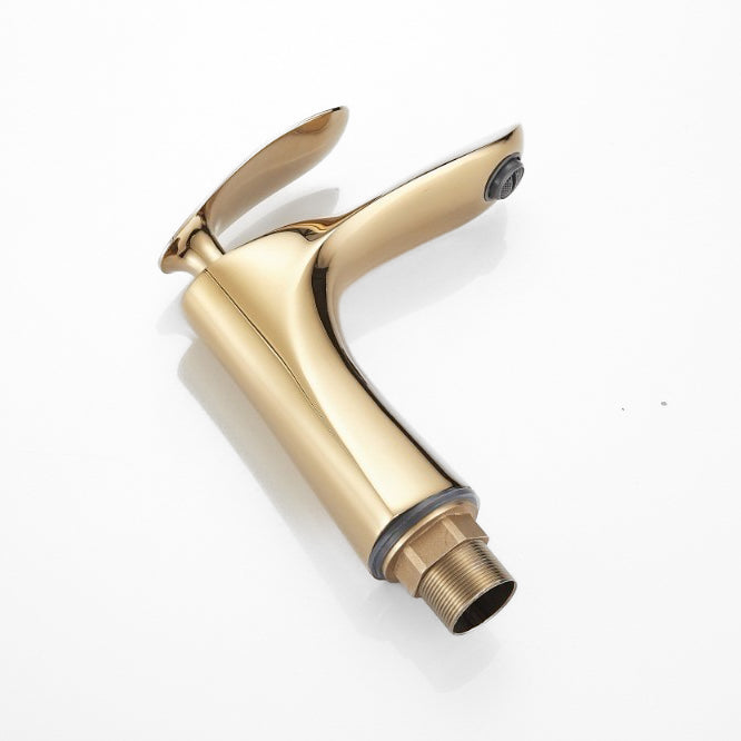 Lisslune | golden sink SPIN