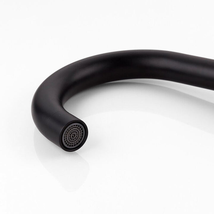 Lisslune | black matte sink CYGNE