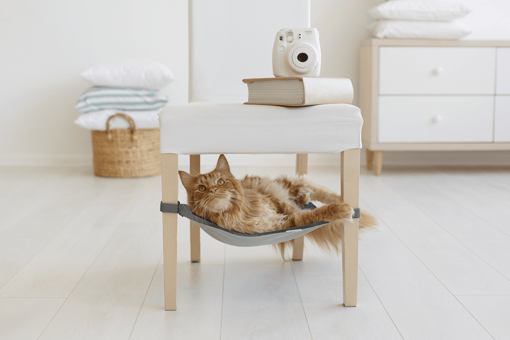 Lisslune | Rocky Coast Grey Pet Hammock