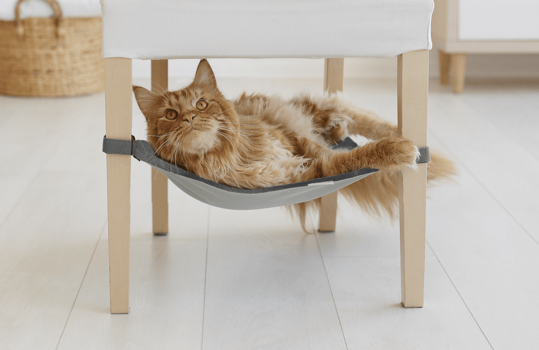 Lisslune | Rocky Coast Grey Pet Hammock