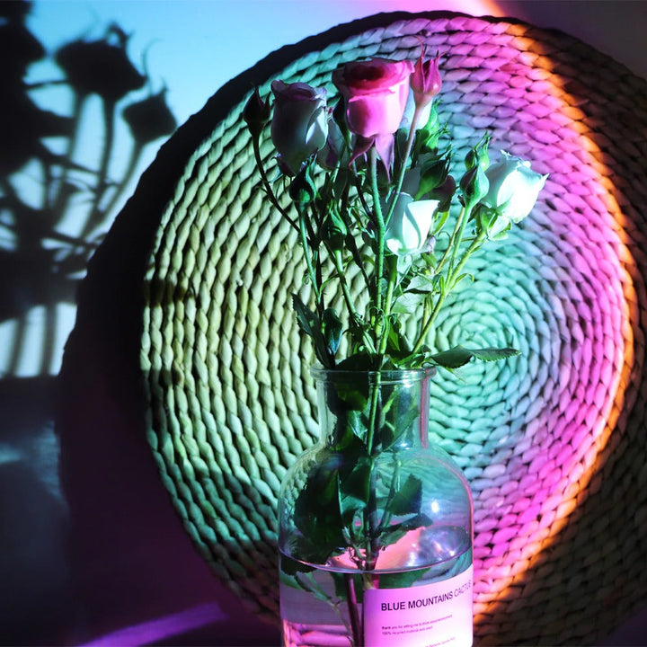 Rynx | Golden Hour Sunset Lamp Projector