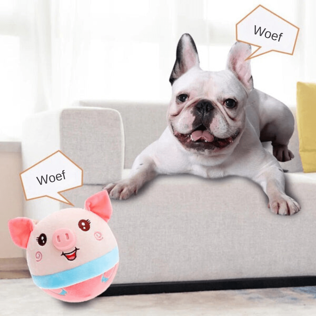 Lisslune | ROVER – Interactive Moving Dog Toy for Smart & Energetic Play