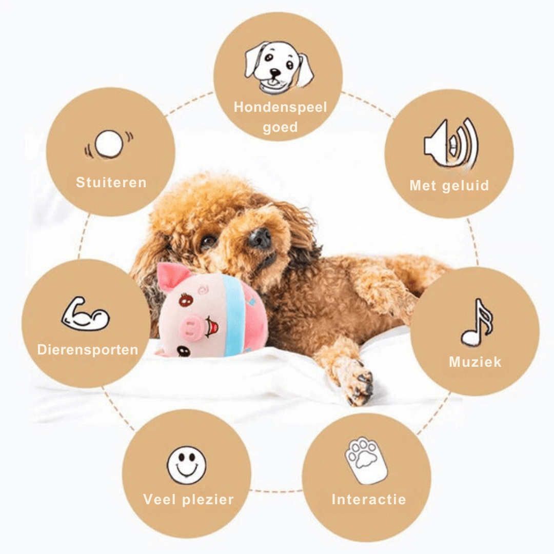 Lisslune | ROVER – Interactive Moving Dog Toy for Smart & Energetic Play