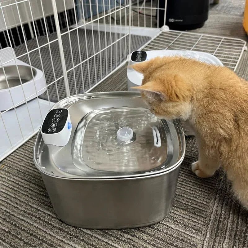 Lisslune | Smart Drink Fountain for Cats and Dogs – 3.2L Stainless Steel with Filter