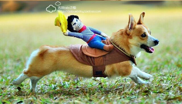 Lisslune | Cowboy Dog Costume