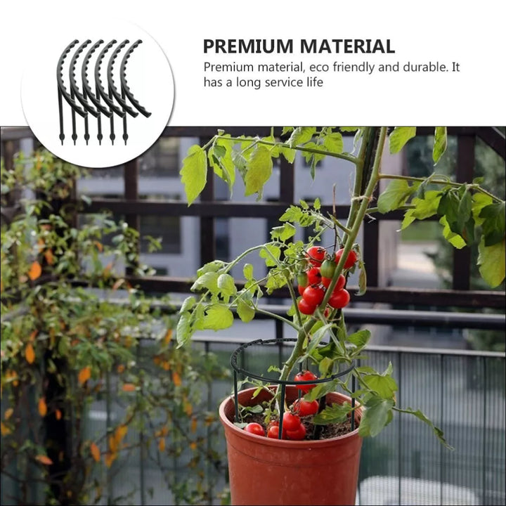 Lisslune | Climbing support for plants – Robust holder with cage design for growth and stability
