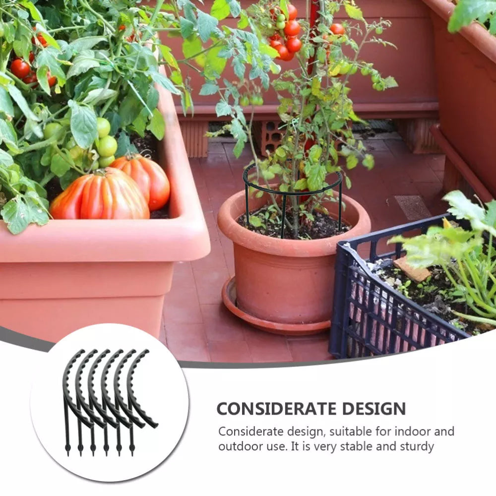 Lisslune | Climbing support for plants – Robust holder with cage design for growth and stability